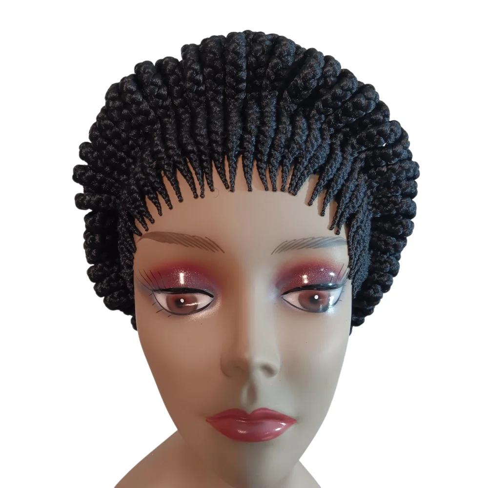 Chic Black Braided Wig